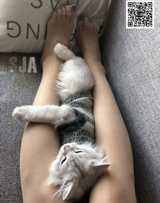 泰剧《此地被隔离》免费观看_日本成人在线
