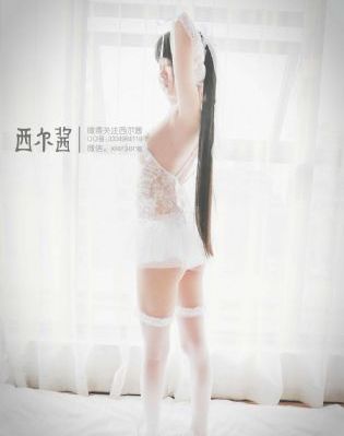 前方高能短剧免费观看全集完整版_BD完整在线观看