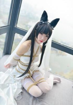 老师在这里_1080完整版观看